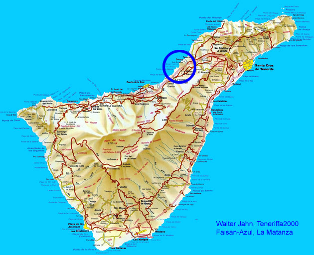 Cuco Azul in the northeast of Tenerife